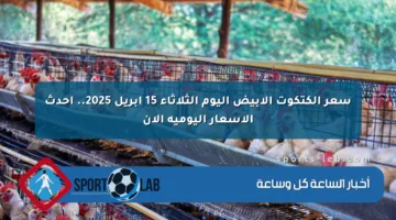 سعر الكتكوت الأبيض اليوم الثلاثاء 15 أبريل 2025.. أحدث الأسعار اليومية الآن